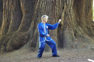 Tsan Quan from the Five Elements of Xing Yi Quan.