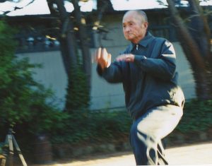 Liang Ke Quan performs the Monkey Form of Xing Yi Quan Fast