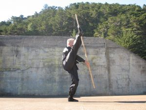 Scott Jensen performs Earth Dragon Staff from Northern Shaolin