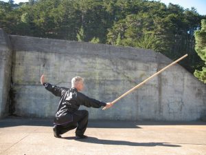 Scott Jensen performs Earth Dragon Staff from Northern Shaolin
