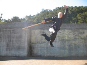 Scott Jensen performs Earth Dragon Staff from Northern Shaolin