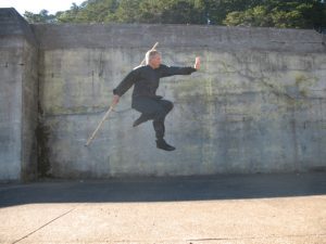 Scott Jensen performs Earth Dragon Staff from Northern Shaolin